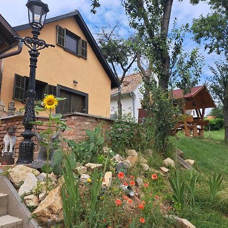 Macskajaj Vendeghaz Villa Mecseknádasd Exterior foto